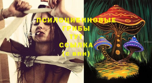 метадон Алексин